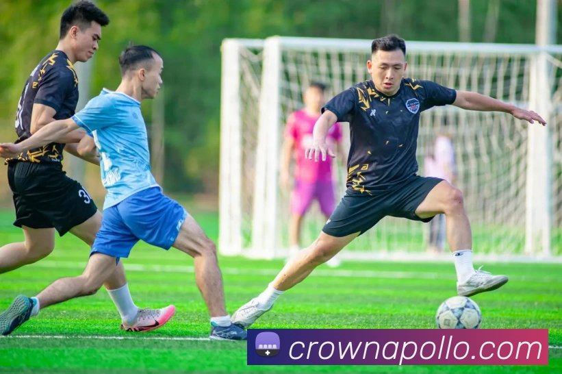 皇冠crown体育平台服务体系